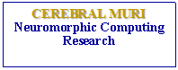 Text Box: CEREBRAL MURINeuromorphic Computing Research